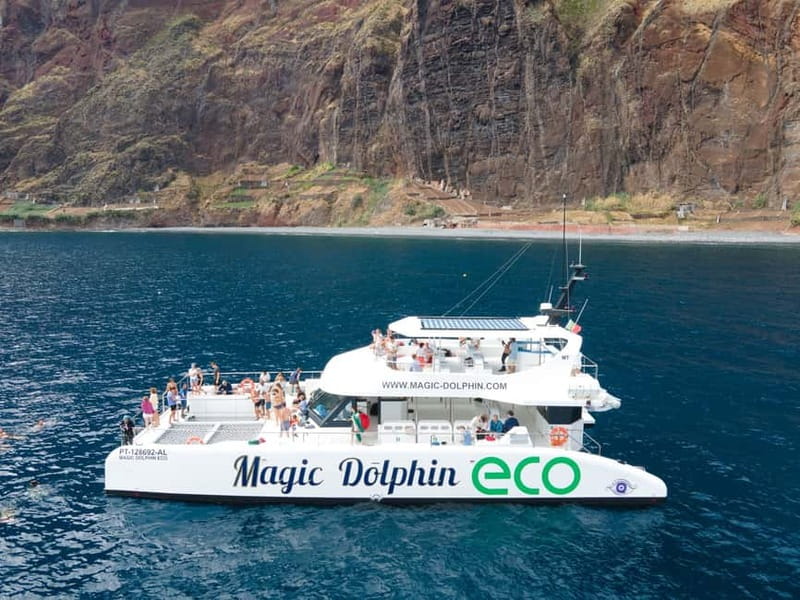 From Funchal: Ecological Catamaran Dolphin Whale Watching - From Funchal Marina Out to the Dolphin Zone in 2.5 to 3 Hours