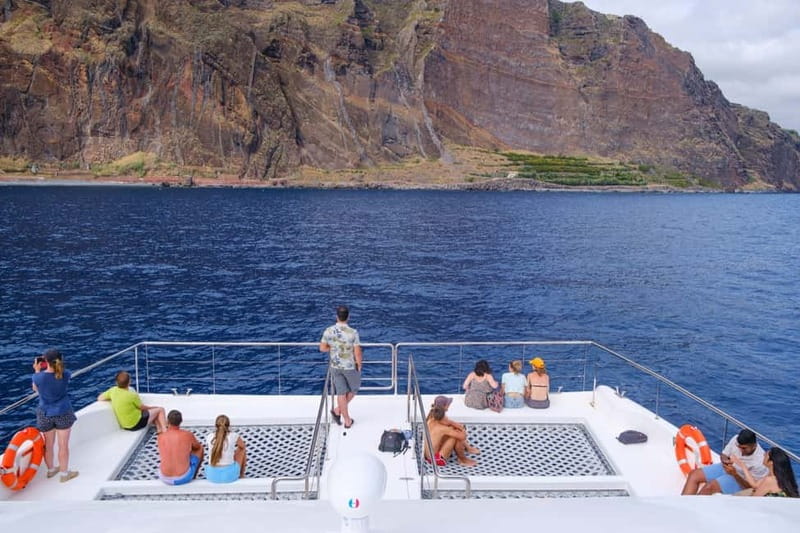 From Funchal: Ecological Catamaran Dolphin Whale Watching - Hybrid-Electric Cruising: Why This Boat Feels Different