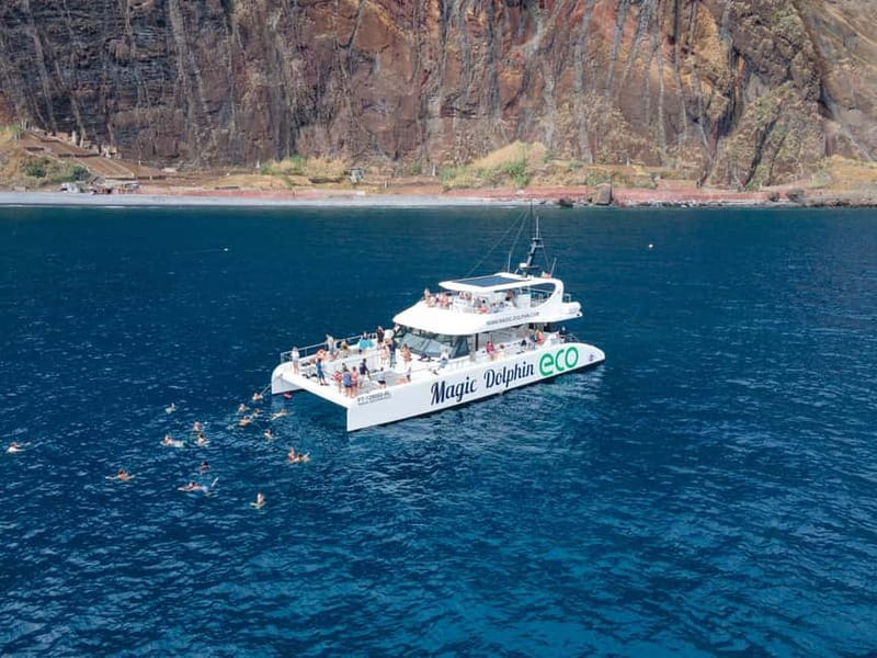 From Funchal: Ecological Catamaran Dolphin Whale Watching - Price and Value: Is $40 Worth It?