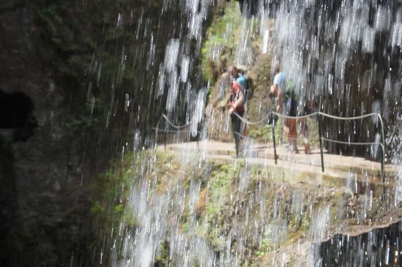From Funchal: Levada Nova Hiking Tour with stopover at beach - Small group size, flexible guidance, and what that means for your comfort