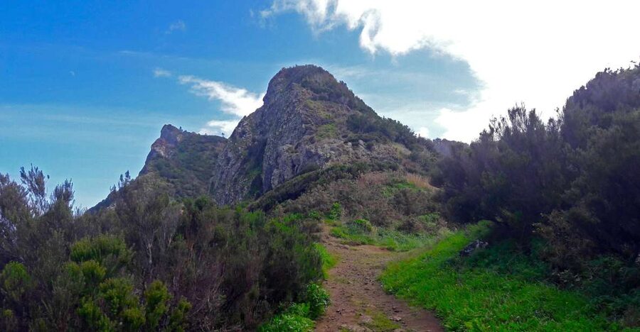 From Funchal: Machico to Porto da Cruz Larano Cliff Hike - Key highlights you will feel from the start