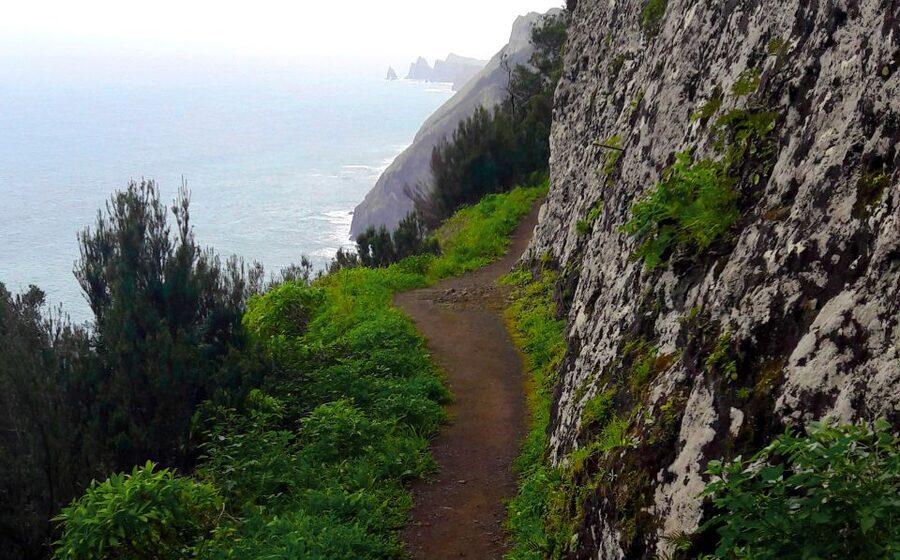 From Funchal: Machico to Porto da Cruz Larano Cliff Hike - Why the Machico to Porto da Cruz Larano Cliff Route Feels Special