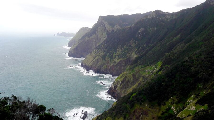 From Funchal: Machico to Porto da Cruz Larano Cliff Hike - What to Pack for a 12 km Madeira Coastal Hike