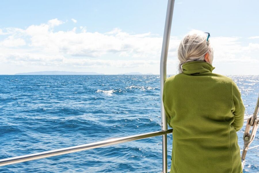 From Funchal: Madeira Dolphin and Whale Watching Tour - Key things I’d clock before you go
