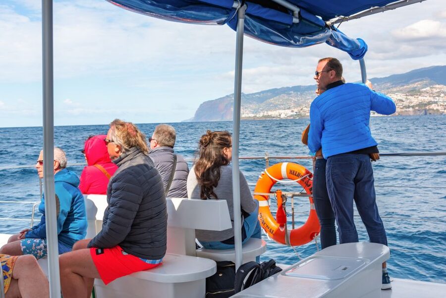 From Funchal: Madeira Dolphin and Whale Watching Tour - What to bring, what not to bring, and how to be comfortable