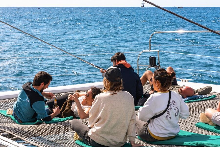 From Funchal: Madeira Dolphin and Whale Watching Tour - Price and value for a Madeira dolphin and whale watching tour at $47