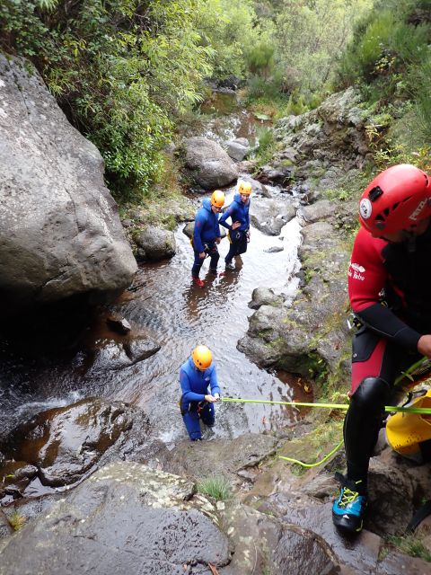 From Funchal: Madeira Island Canyoning for Beginners - What You Actually Do in the Canyon: Slides, Swims, Ropework, and Jumps