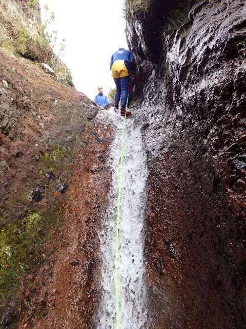 From Funchal: Madeira Island Canyoning for Beginners - Price Breakdown: Why $82 Can Feel Reasonable Here