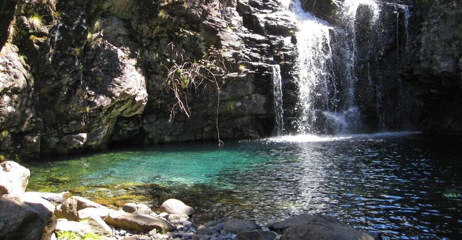 From Funchal: Madeira Lakes Levada Guided Hike - Waterfalls and reflective mountain lakes, plus the summer swim at Lagoa Dona Beha
