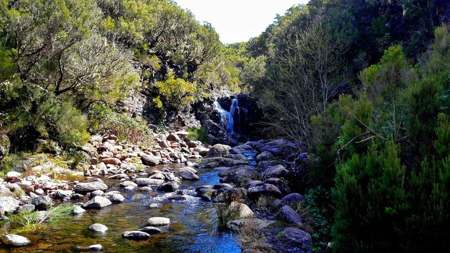 From Funchal: Madeira Lakes Levada Guided Hike - The ancient mountain climb for panoramic views
