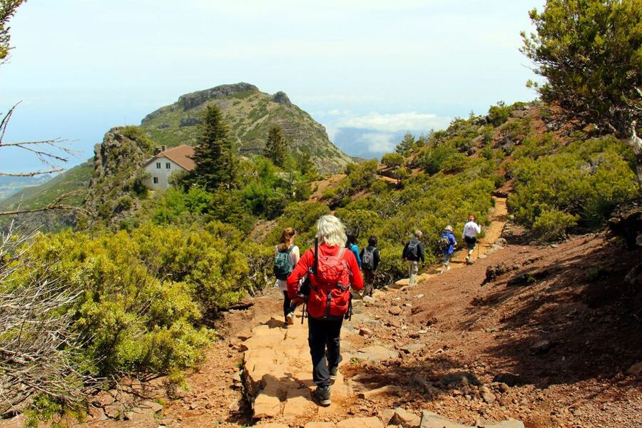 From Funchal: Madeira Peaks Mountain Walk - Pico Ruivo and Madeira’s high peaks, in one long guided push