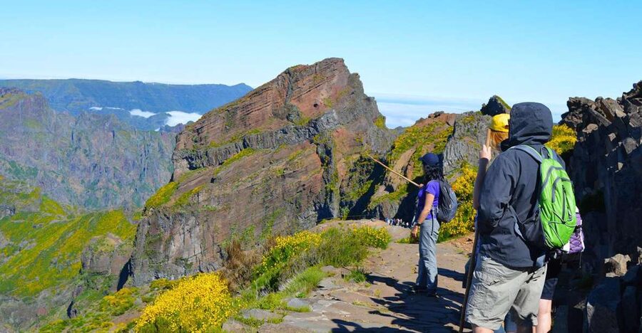 From Funchal: Madeira Peaks Mountain Walk - From Funchal by air-conditioned van: getting there without wasting your legs