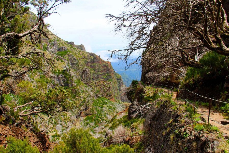 From Funchal: Madeira Peaks Mountain Walk - Plan B on bad weather: when the peaks are blocked, the day still delivers