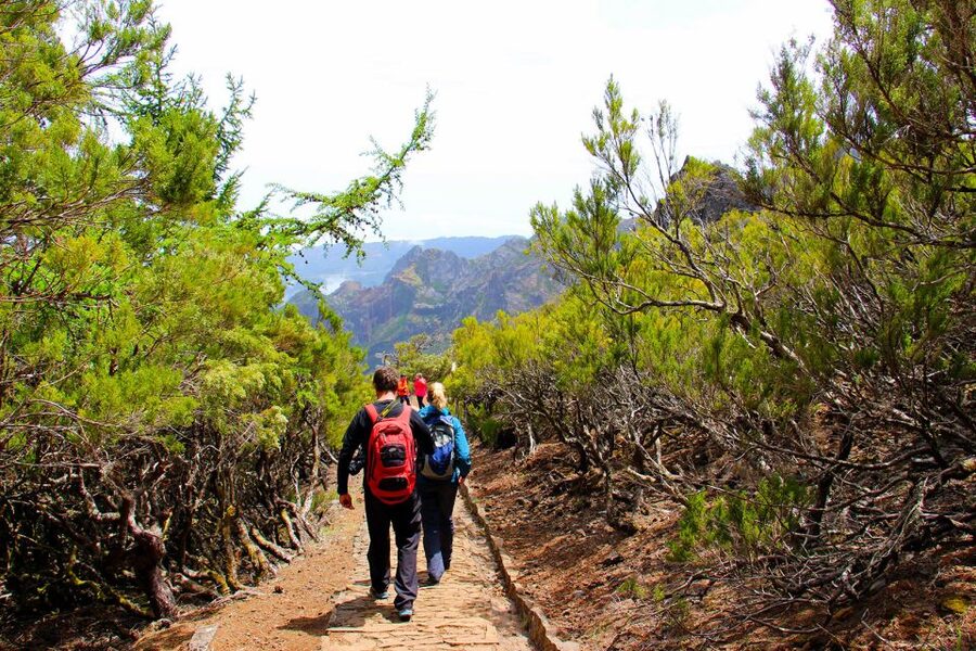 From Funchal: Madeira Peaks Mountain Walk - Price and value: is $50 worth it for a hard day?