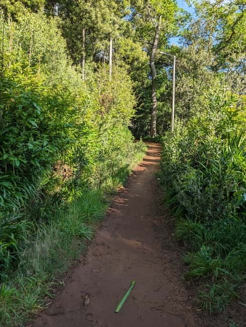 From Funchal: Pico Arieiro Sunrise with Optional Breakfast - The levada walk in Paradise Valley: short, pretty, and manageable