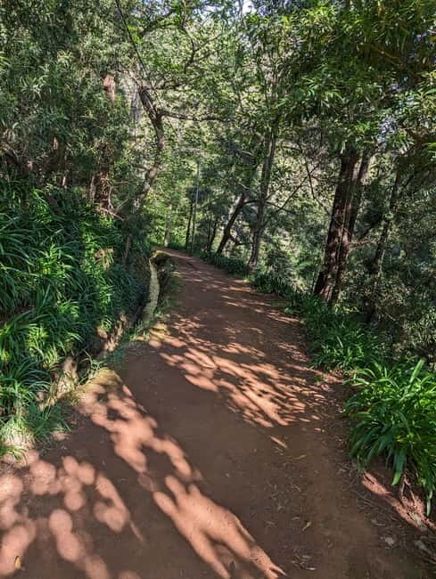 From Funchal: Pico Arieiro Sunrise with Optional Breakfast - Price and value: what $51 really covers