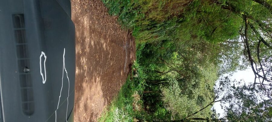 From Funchal: Pico Do Arieiro and Santana Full-Day 4x4 Tour - From Funchal to the heights, this is Madeira by feel
