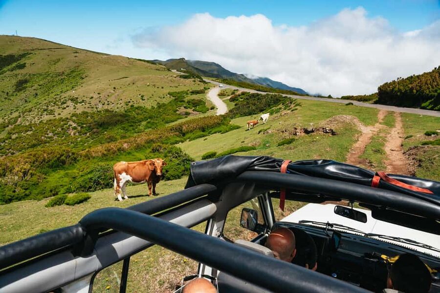 From Funchal: Porto Moniz and Seixal Day Tour by Jeep - São Vicente and Quinta Grande: Passing Stops That Add Structure