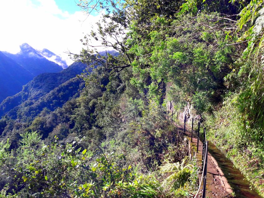 From Funchal: São Jorge Valleys Levada Walk - Key takeaways before you go