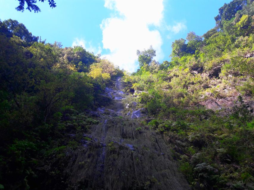 From Funchal: São Jorge Valleys Levada Walk - Price and Value for an 8-Hour Nature Day