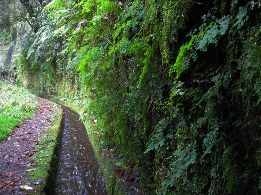 From Funchal: São Jorge Valleys Levada Walk - Passing Waterfalls Up Close (Including Behind-Water Moments)