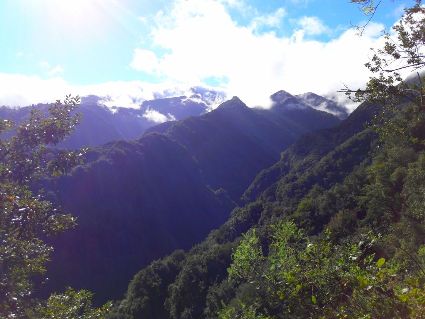 From Funchal: São Jorge Valleys Levada Walk - Rainforest Hike and Native Herbs You Can Actually Use