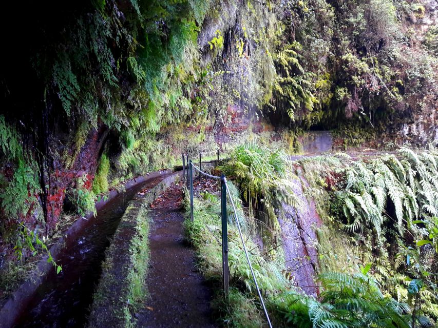From Funchal: São Jorge Valleys Levada Walk - The Guide Factor: Explanations That Keep the Walk Moving