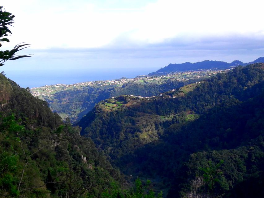 From Funchal: São Jorge Valleys Levada Walk - Pace, Break Time, and the Ribeira Bonito Stop
