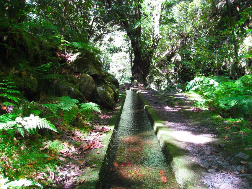 From Funchal: São Jorge Valleys Levada Walk - Getting From Funchal to the Start Without Hassle