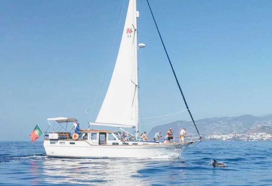 From Funchal: West Bays Sailing Tour with Lunch - Key things you will notice on this West Bays sailing day