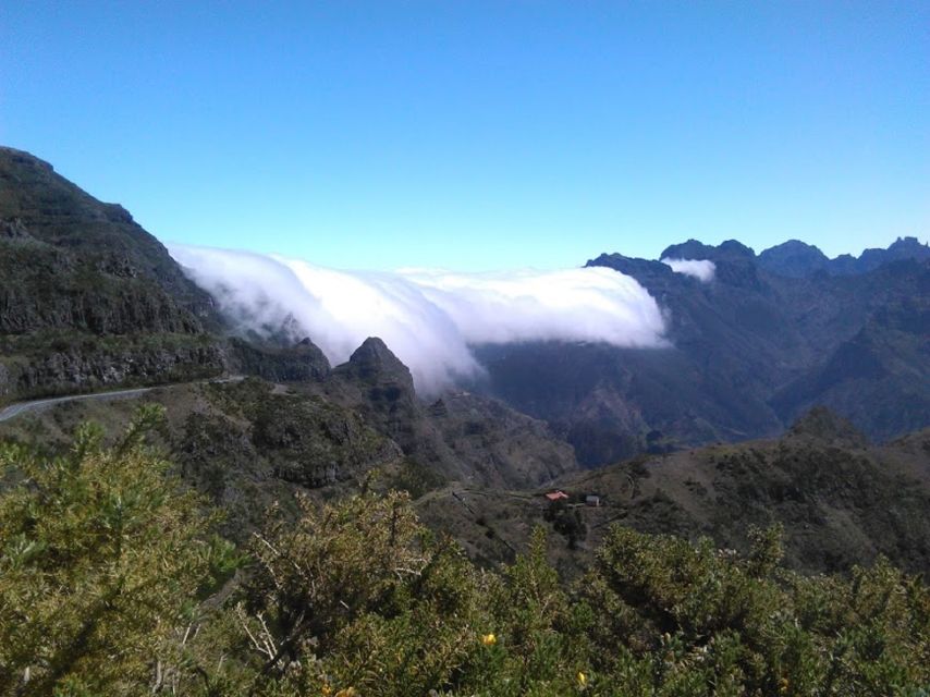 From Funchal: West Madeira and Laurel Forest Day Trip - Paul da Serra and the Transition Into Laurel Forest