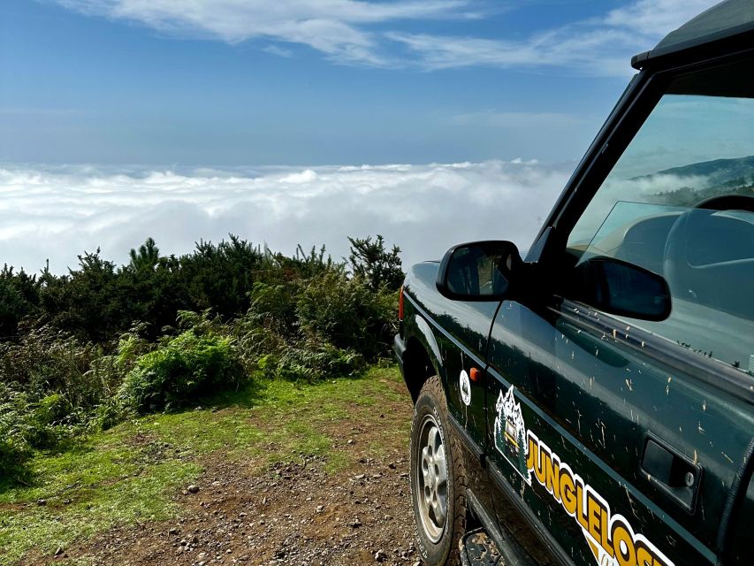 From Funchal:West Madeira Open-roof 4x4 Day Tour with Pickup - Fanal Forest: UNESCO Mist, Laurel Trees, and a Short Walk