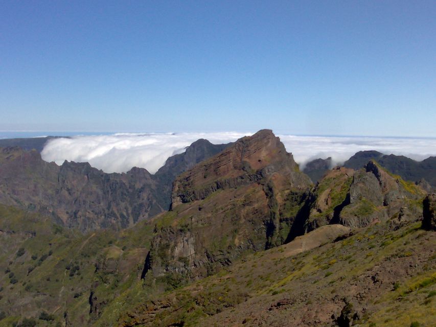 From Funchal: West Madeira Waterfalls and Fanal Forest Tour - Véu da Noiva, Ribeira da Janela, and Waterfall Time on the North Coast