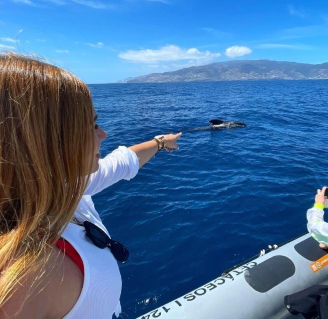 From Funchal: Whale and Dolphin Watching - The cetacean guarantee and the meaning behind it