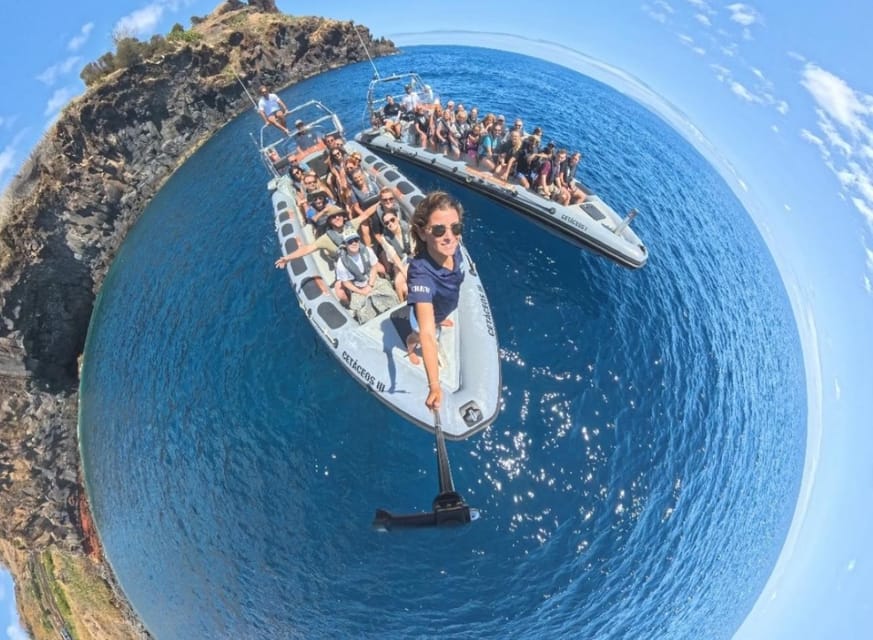 From Funchal: Whale and Dolphin Watching - Small groups and real boat comfort (including when it is bumpy)