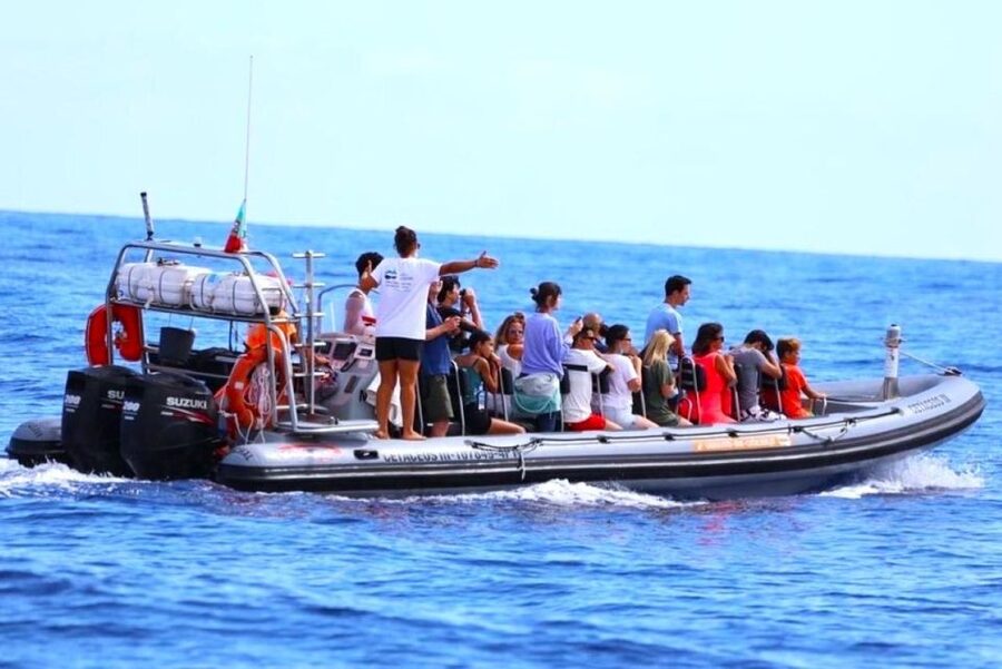 From Funchal: Whale and Dolphin Watching - What to wear and pack so you enjoy the wet parts