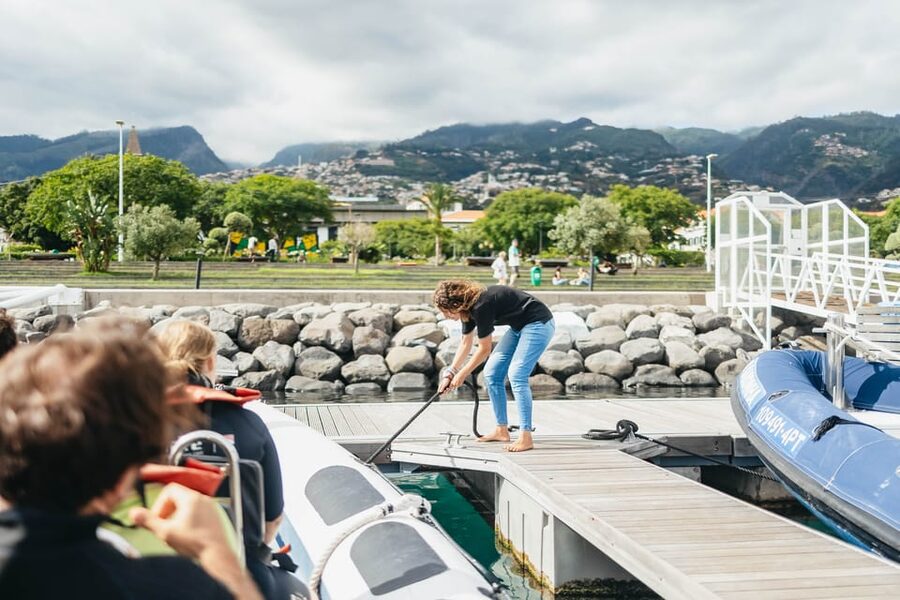 From Funchal: Whales and Dolphin Adventure Tour - Madeira’s new marina to open water: what the 2 hours really feels like
