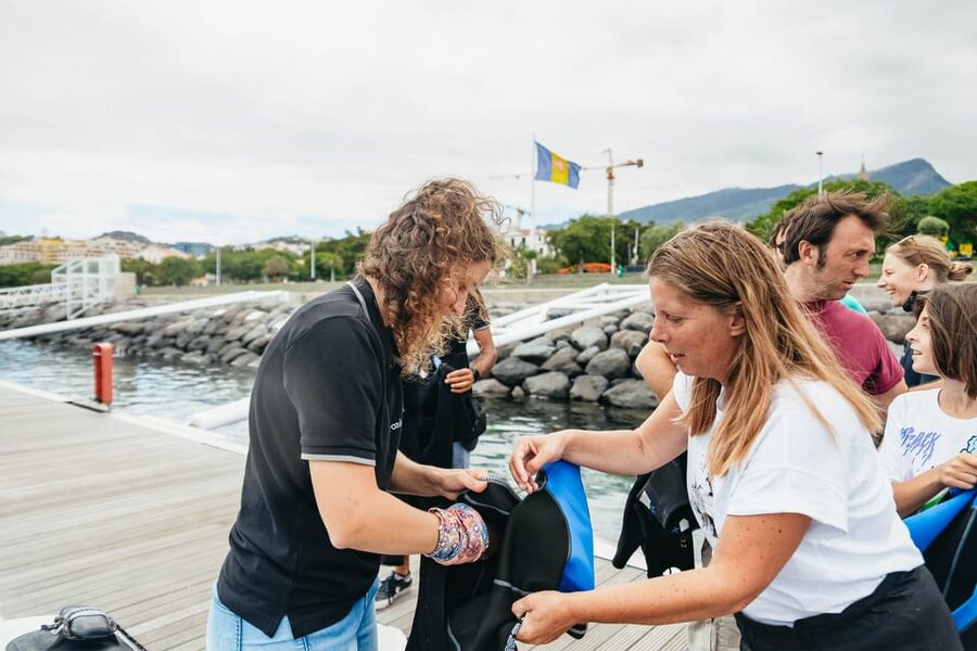 From Funchal: Whales and Dolphin Adventure Tour - If swimming with dolphins happens, here is what to expect