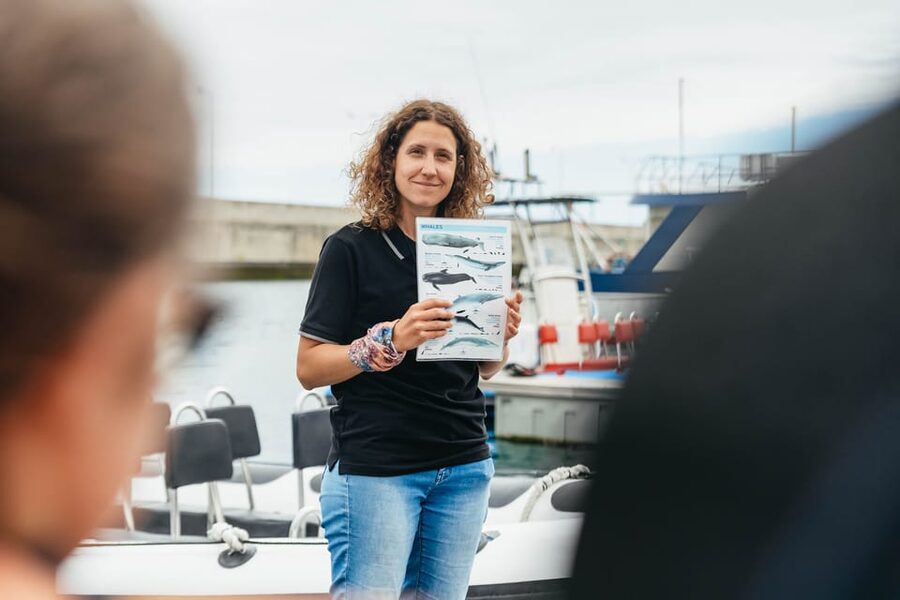 From Funchal: Whales and Dolphin Adventure Tour - Snorkeling gear, sea conditions, and what to bring to stay sane