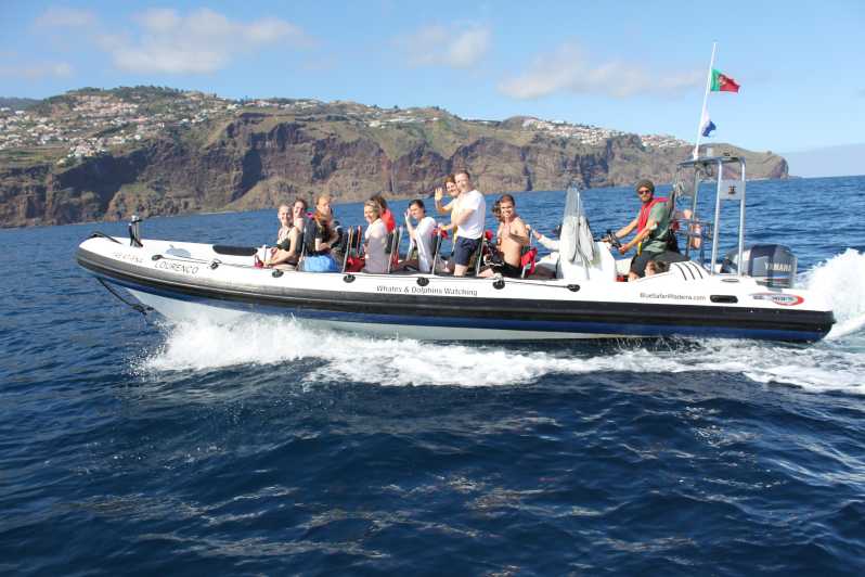 From Funchal: Whales and Dolphin Adventure Tour - How the crew finds whales and dolphins without turning it into a chase