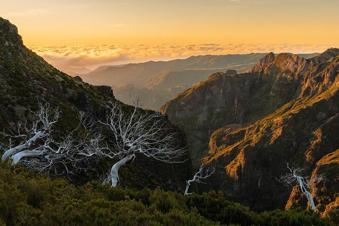 Full Day Madeira Island Tour - Open Roof - Ribeira da Janela miradouro and the short walk feeling