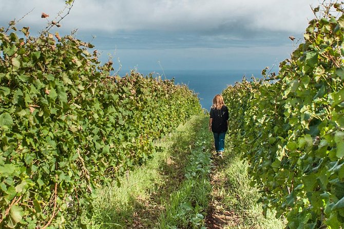 Full-Day Madeira Wine Tasting Tour with Lunch - What makes Madeira wine worth a full-day tasting