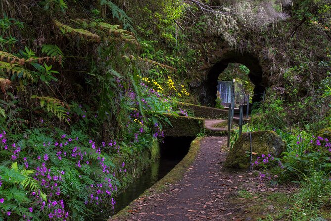 Full Day of Wonders: Madeira 4x4 Private Tour - Food is optional, but Joel’s suggestions can be a highlight