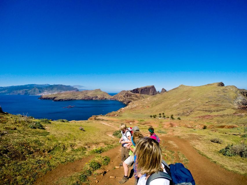 Full Day Ponta de São Lourenço - Natural Reserve - Flora and fossils of the coast: what you’re seeing as you walk
