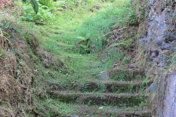 Full Day Private 4x4 Adventure in Madeira - Prazeres area and a big switch to high altitude