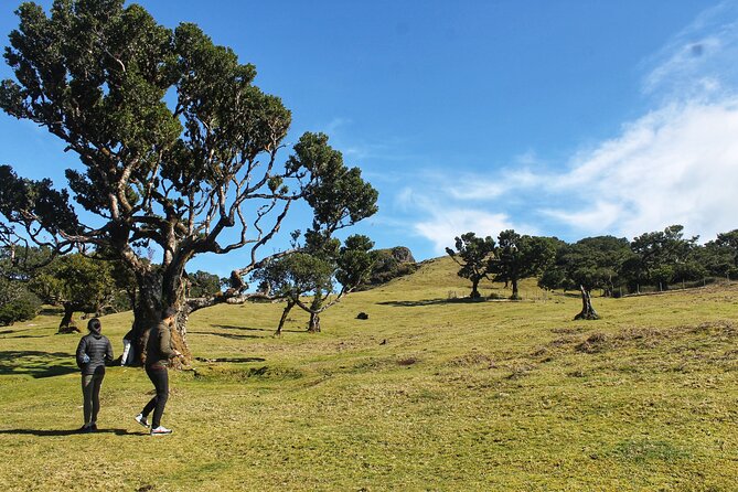 Full Day Private 4x4 Tour in West Madeira with Local Guide - Serra de Água and the Encumeada pass, where the island changes shape