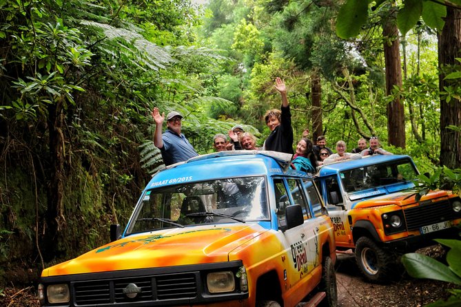Full Day Private 4x4 Tour in West Madeira with Local Guide - The levada walk: nature, water, and one small safety note