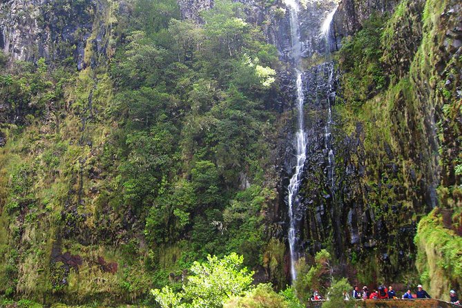 Full-Day Rabaçal Levada Walk from Funchal - Why this levada walk feels like a full Madeira experience