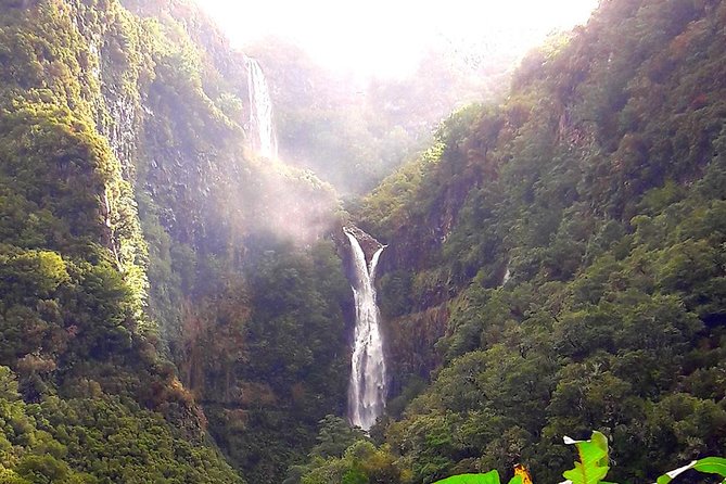 Full-Day Rabaçal Levada Walk from Funchal - Levada das 25 Fontes: following the channel to the springs lake