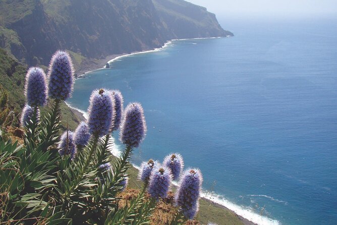 Full Day Tour of the West Zone of Madeira - Price and value: what $207.43 really buys